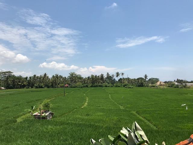 Heavenly View Villa Ubud Zewnętrze zdjęcie