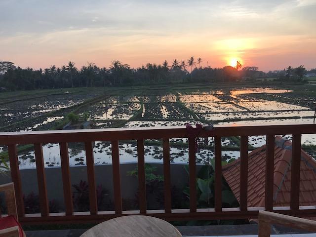 Heavenly View Villa Ubud Zewnętrze zdjęcie