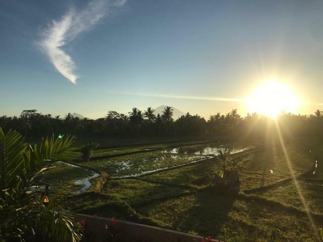 Heavenly View Villa Ubud Zewnętrze zdjęcie