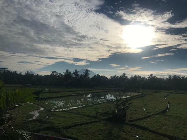 Heavenly View Villa Ubud Zewnętrze zdjęcie